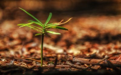 Protecting Our Children