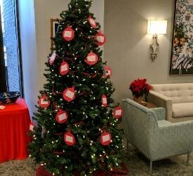 MinisTREE Ministry 2024