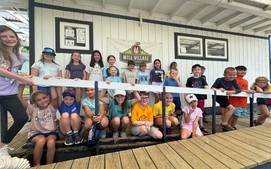 Summer Recap 2025