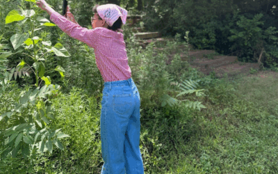 Participants of Sustaining Way’s Steward Youth Program Thrive